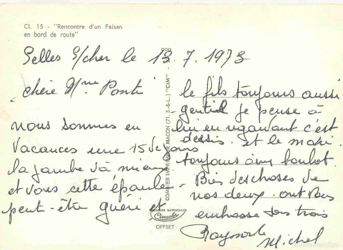 Postales: Animaux - Oiseaux - Faisans - CPM - Voir Scans Recto-Verso - Foto 2