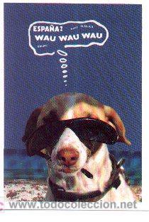 Postales: 07-13. Postal Perro con gafas de sol - Foto 1