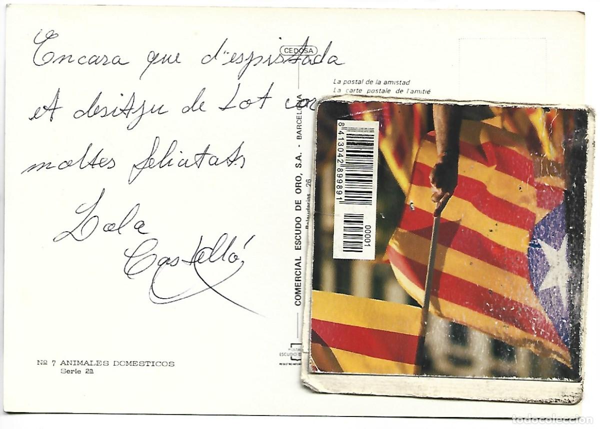 Postales: DOBERMAN.- ANIMALES DOMESTICOS - Foto 2