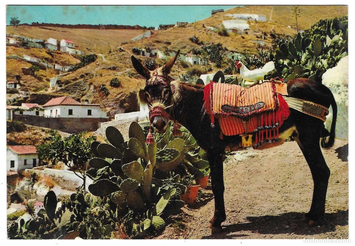 Postales: Postal Espa&ntilde;a. El Burro Chumbito. ref. 7-ani64 - Foto 1