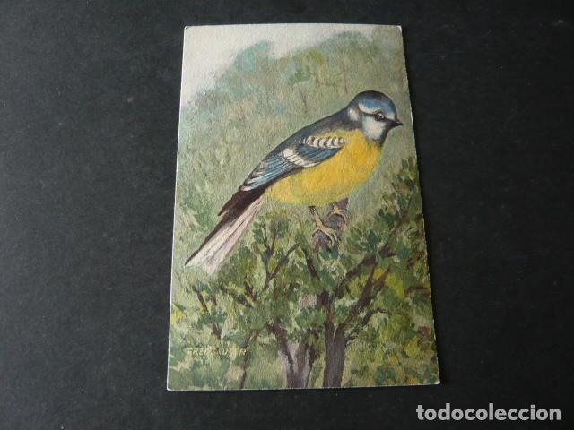 Postales: PAJARO EN ARBOL POSTAL - Foto 1