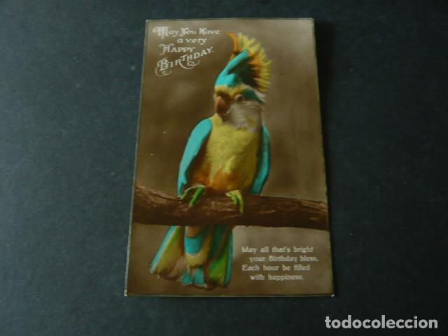 Postales: LORO EN RAMA DE ARBOL POSTAL - Foto 1