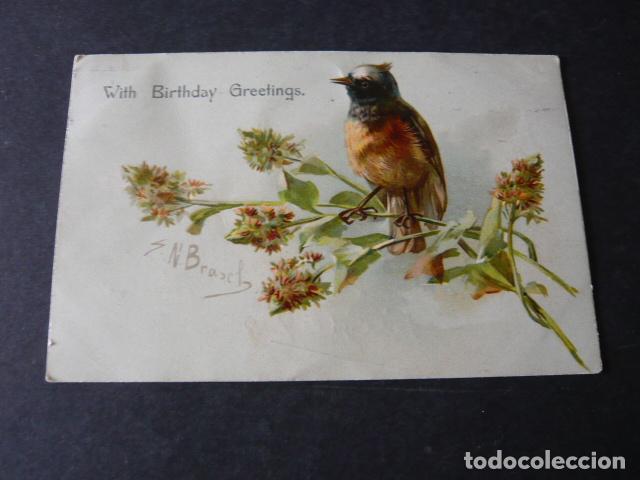 Postales: PAJARO EN RAMA POSTAL ILUSTRADA - Foto 1