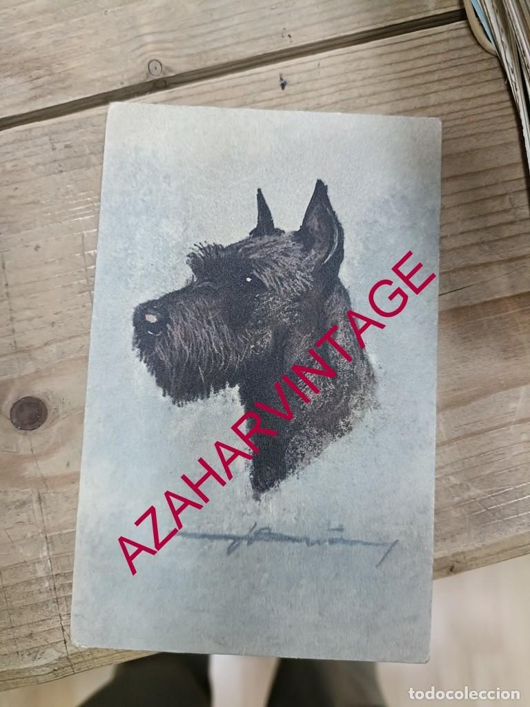 Postales: ANTIGUA POSTAL TEMATICA PERROS - Foto 1