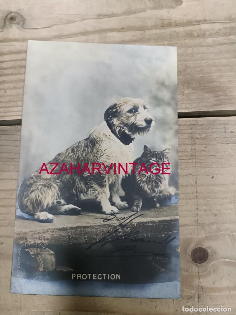 Postales: ANTIGUA POSTAL TEMATICA PERROS - Foto 1