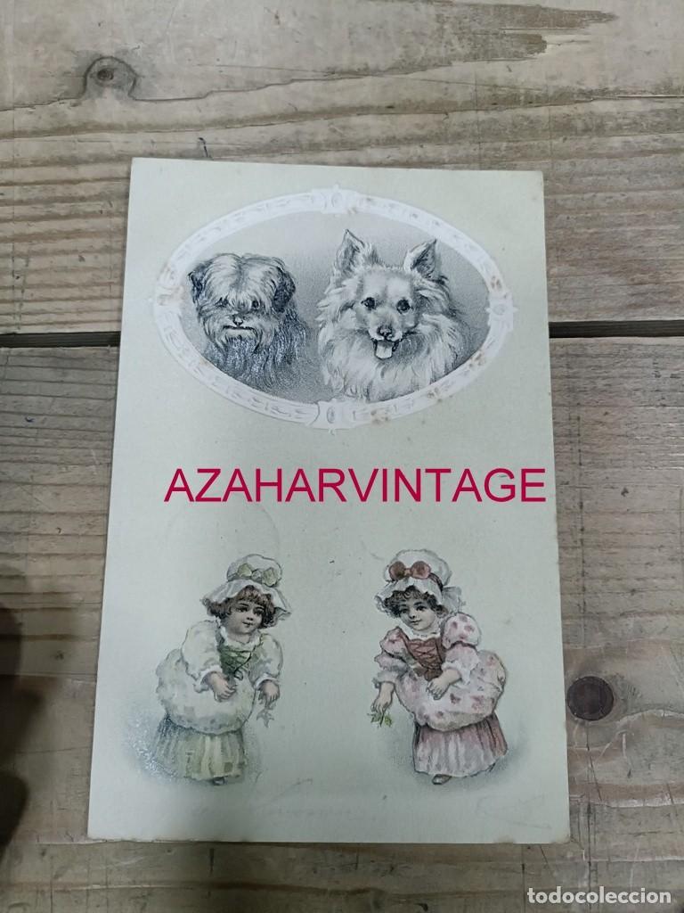 Postales: ANTIGUA POSTAL TEMATICA PERROS - Foto 1