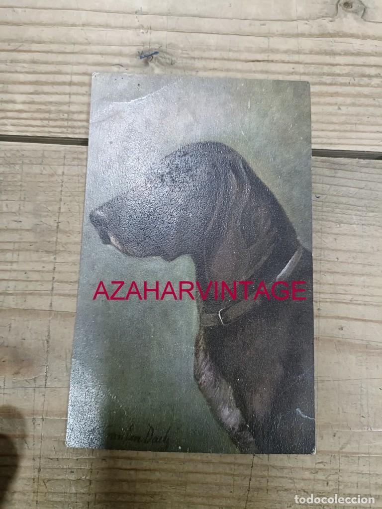 Postales: ANTIGUA POSTAL TEMATICA PERROS - Foto 1