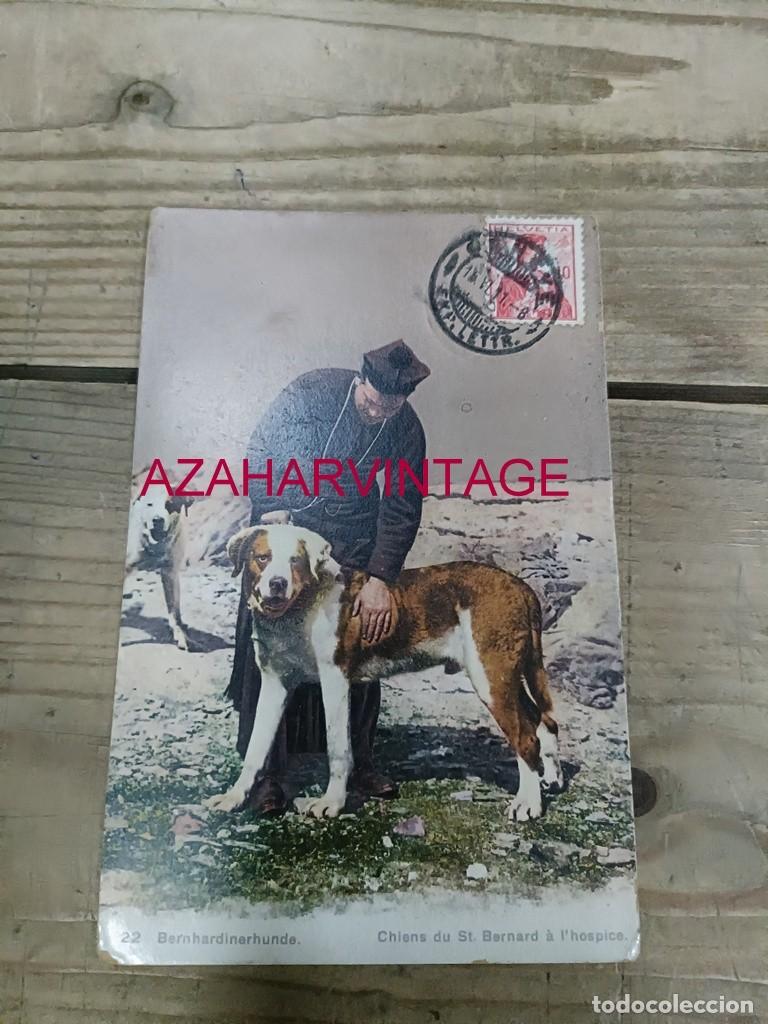Postales: ANTIGUA POSTAL TEMATICA PERROS - Foto 1
