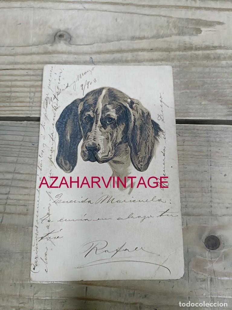 Postales: ANTIGUA POSTAL TEMATICA PERROS - Foto 1