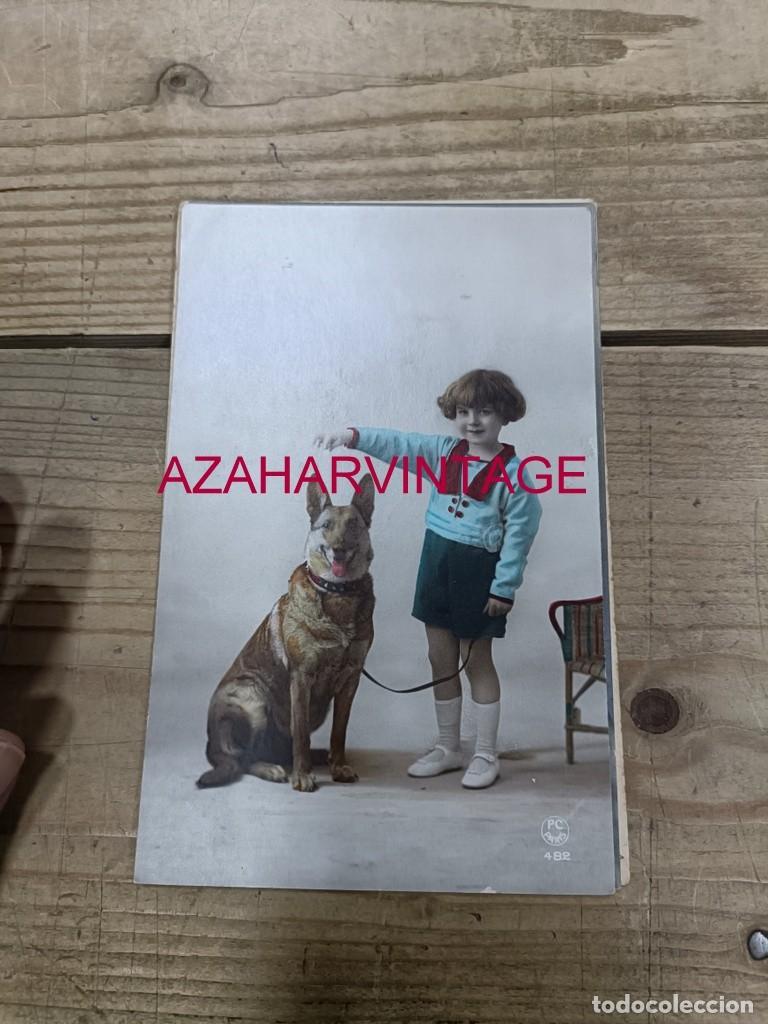 Postales: ANTIGUA POSTAL TEMATICA PERROS - Foto 1
