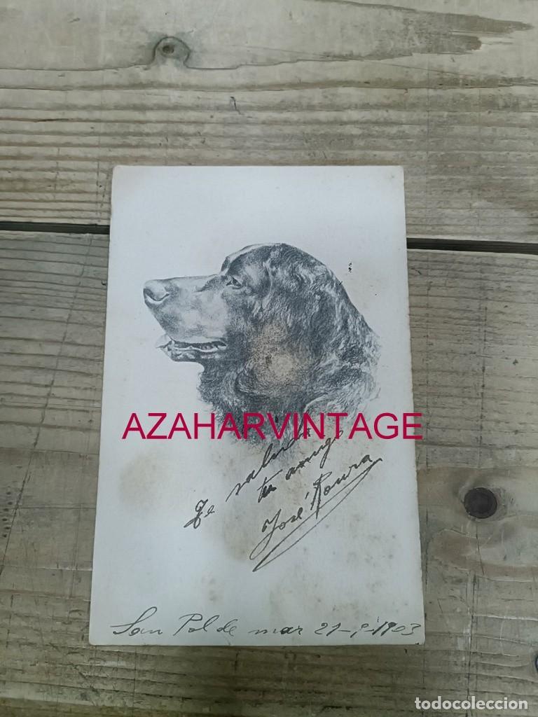 Postales: ANTIGUA POSTAL TEMATICA PERROS - Foto 1