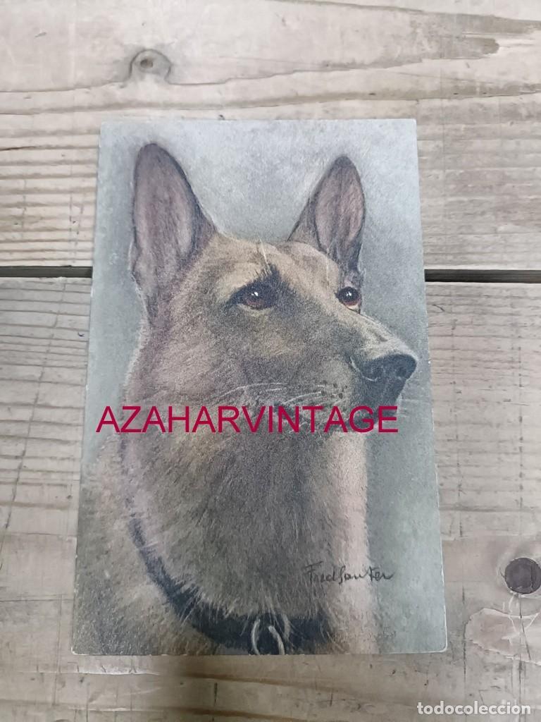 Postales: ANTIGUA POSTAL TEMATICA PERROS - Foto 1