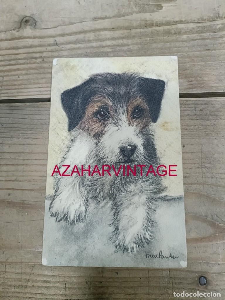 Postales: ANTIGUA POSTAL TEMATICA PERROS - Foto 1