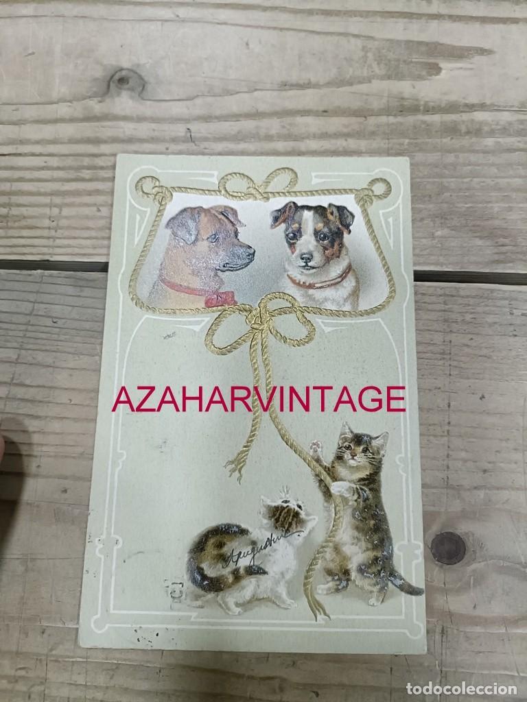 Postales: ANTIGUA POSTAL TEMATICA PERROS - Foto 1