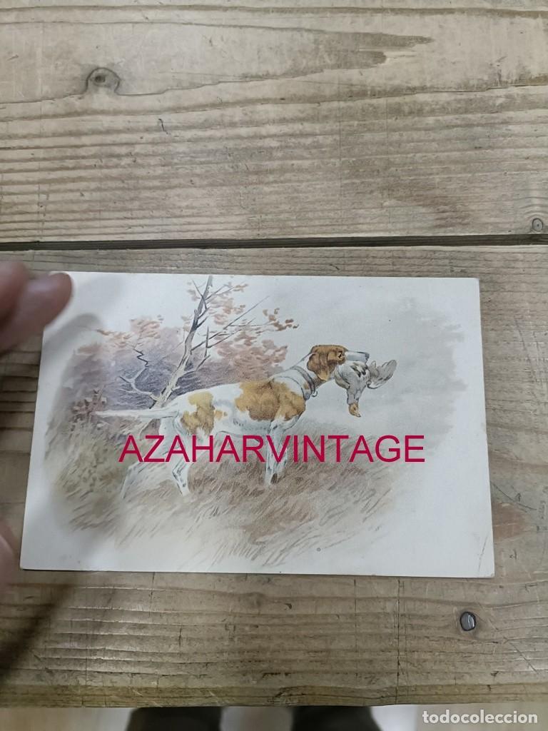 Postales: ANTIGUA POSTAL TEMATICA PERROS - Foto 1