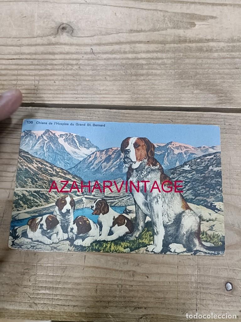 Postales: ANTIGUA POSTAL TEMATICA PERROS - Foto 1