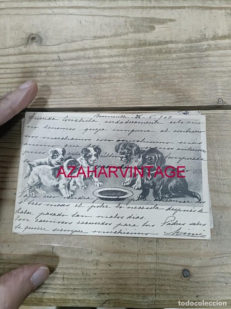 Postales: ANTIGUA POSTAL TEMATICA PERROS - Foto 1