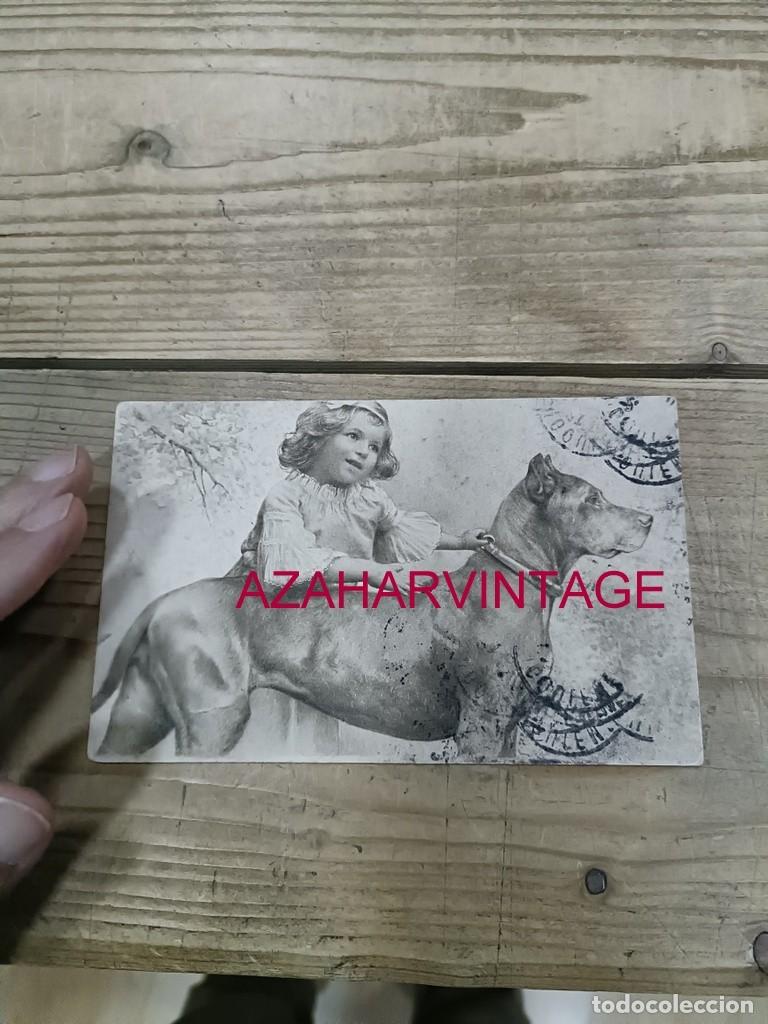 Postales: ANTIGUA POSTAL TEMATICA PERROS - Foto 1