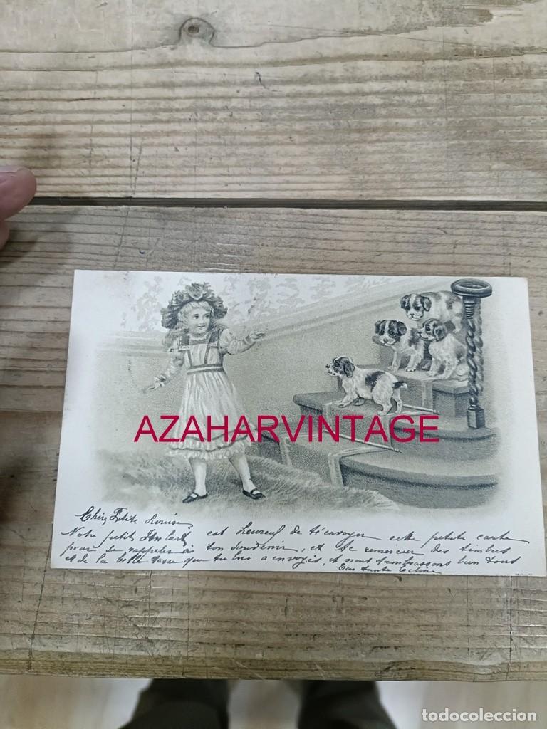 Postales: ANTIGUA POSTAL TEMATICA PERROS - Foto 1