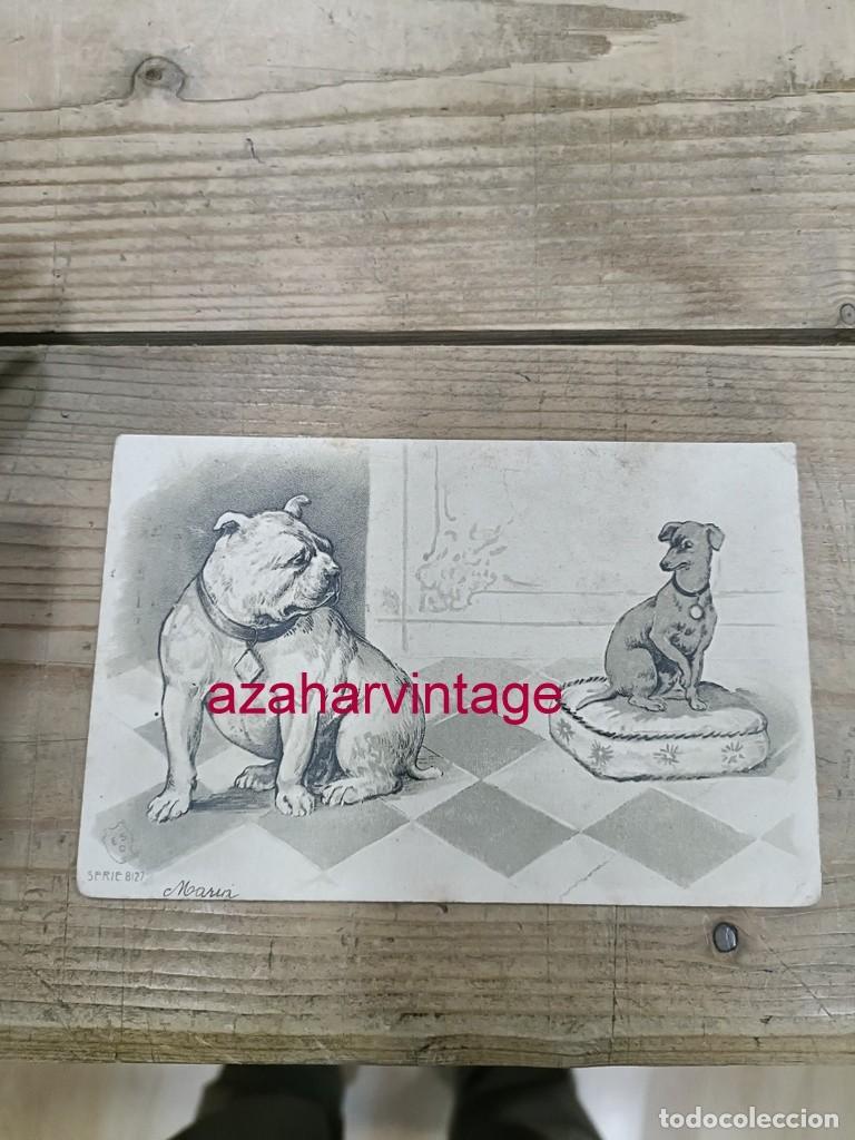 Postales: ANTIGUA POSTAL TEMATICA PERROS - Foto 1