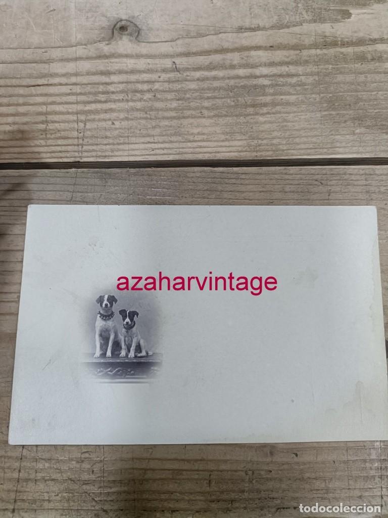 Postales: ANTIGUA POSTAL TEMATICA PERROS - Foto 1