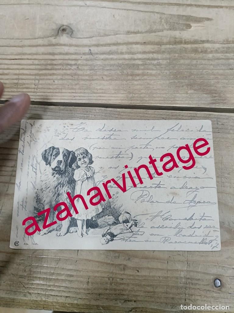 Postales: ANTIGUA POSTAL TEMATICA PERROS - Foto 1