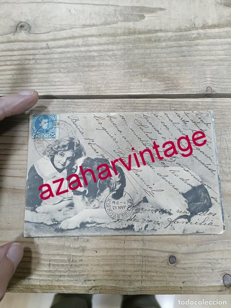 Postales: ANTIGUA POSTAL TEMATICA PERROS - Foto 1