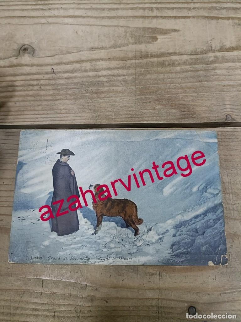 Postales: ANTIGUA POSTAL TEMATICA PERROS - Foto 1