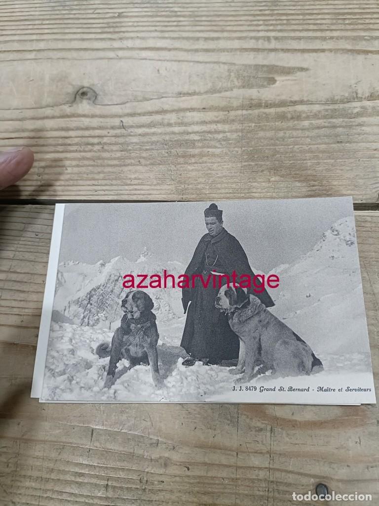 Postales: ANTIGUA POSTAL TEMATICA PERROS - Foto 1