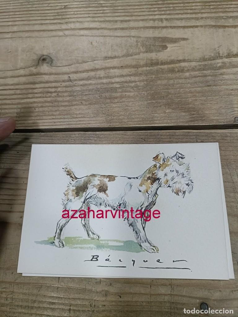 Postales: ANTIGUA POSTAL TEMATICA PERROS - Foto 1
