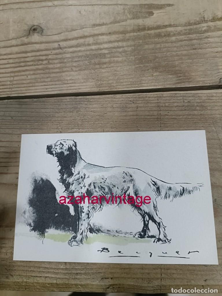 Postales: ANTIGUA POSTAL TEMATICA PERROS - Foto 1