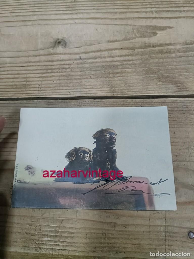 Postales: ANTIGUA POSTAL TEMATICA PERROS - Foto 1
