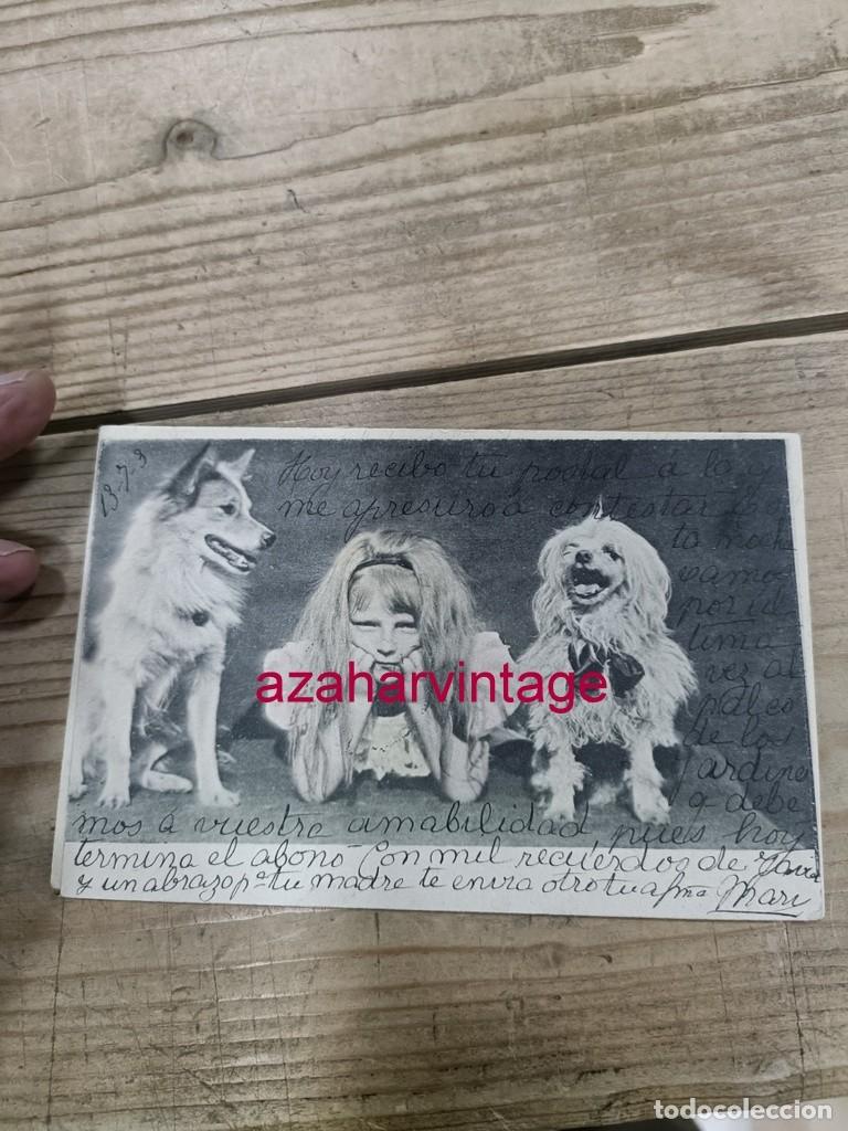 Postales: ANTIGUA POSTAL TEMATICA PERROS - Foto 1