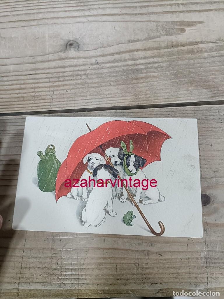 Postales: ANTIGUA POSTAL TEMATICA PERROS - Foto 1