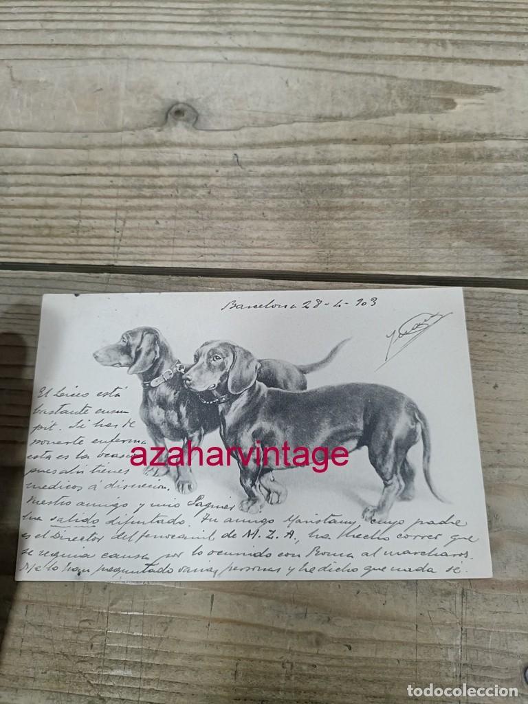 Postales: ANTIGUA POSTAL TEMATICA PERROS - Foto 1