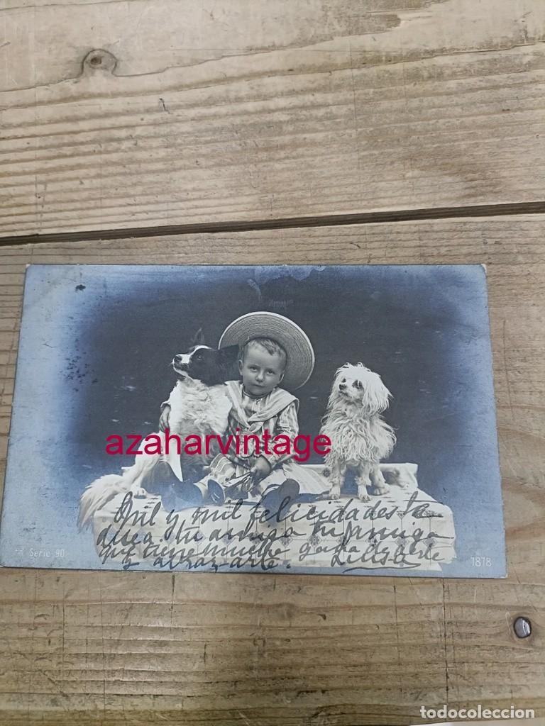 Postales: ANTIGUA POSTAL TEMATICA PERROS - Foto 1