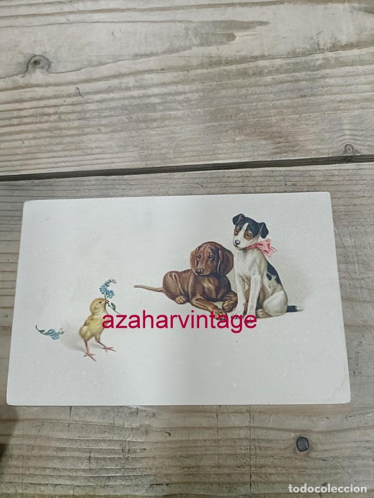 Postales: ANTIGUA POSTAL TEMATICA PERROS - Foto 1