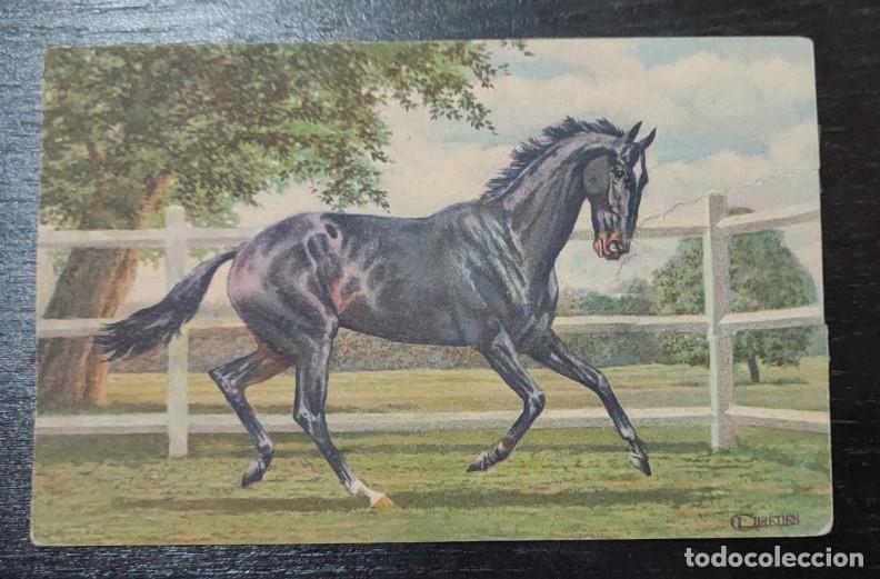 Postales: ANTIGUA POSTAL DE UN CABALLO, CHRETIEN - Foto 1