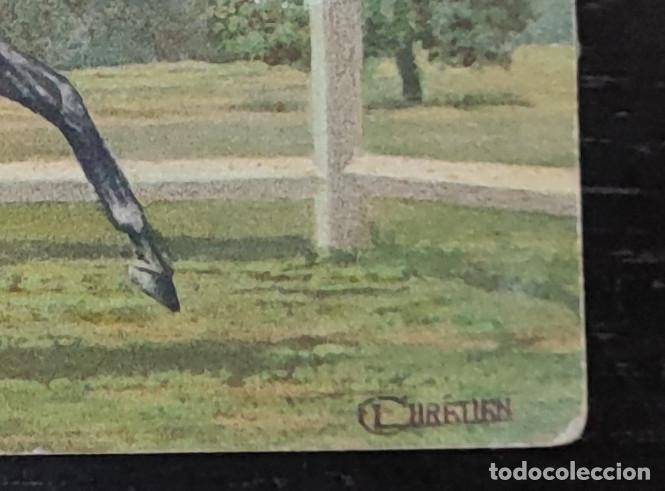 Postales: ANTIGUA POSTAL DE UN CABALLO, CHRETIEN - Foto 4