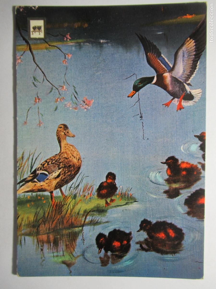 Postales: N&ordm; 6 P&aacute;jaros - Escudo de Oro - Foto 1