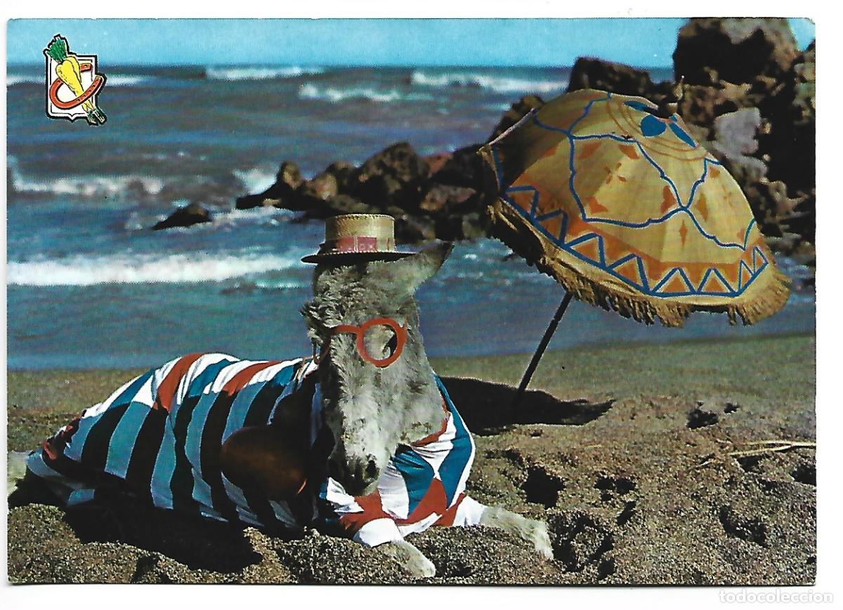 Postales: &rdquo; YO, TRANQUILO / I AM HAPPY &rdquo;.- BURRO EN LA PLAYA - Foto 1
