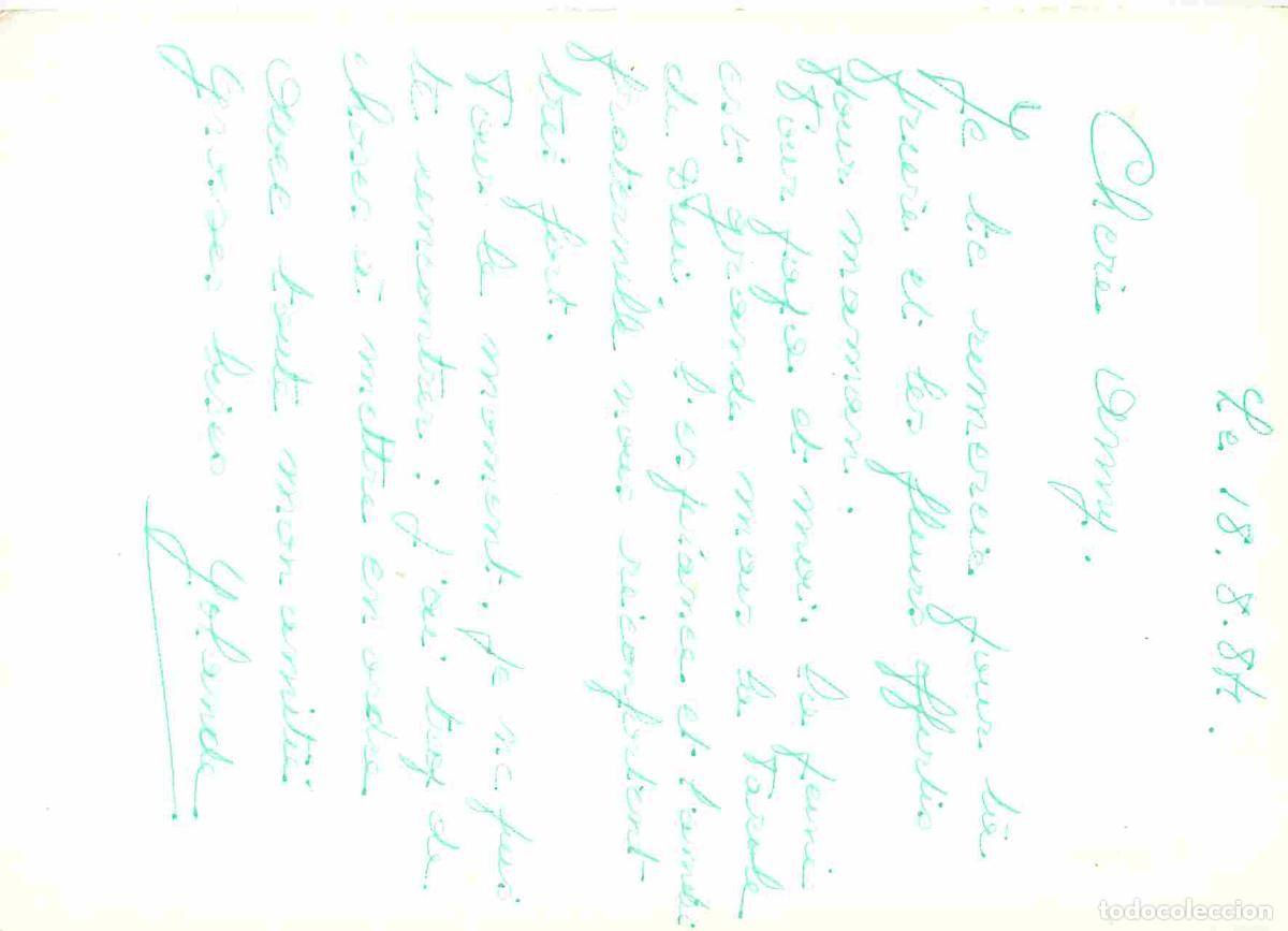 Postales: Animaux - Oiseaux - Euplecte ignicolore - CPM - Voir Scans Recto-Verso - Foto 2