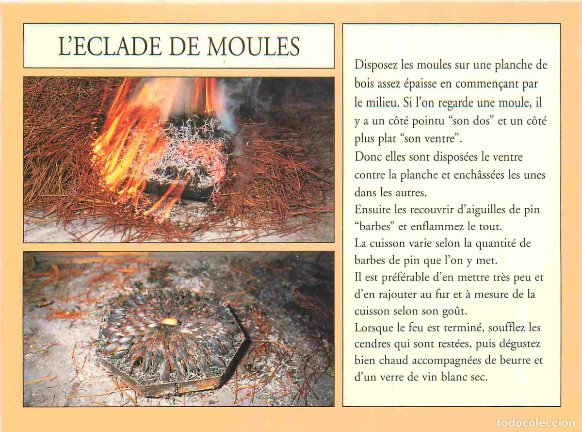 Postales: Recettes de Cuisine - L'&eacute;clade de moules - CPM - Voir Scans Recto-Verso