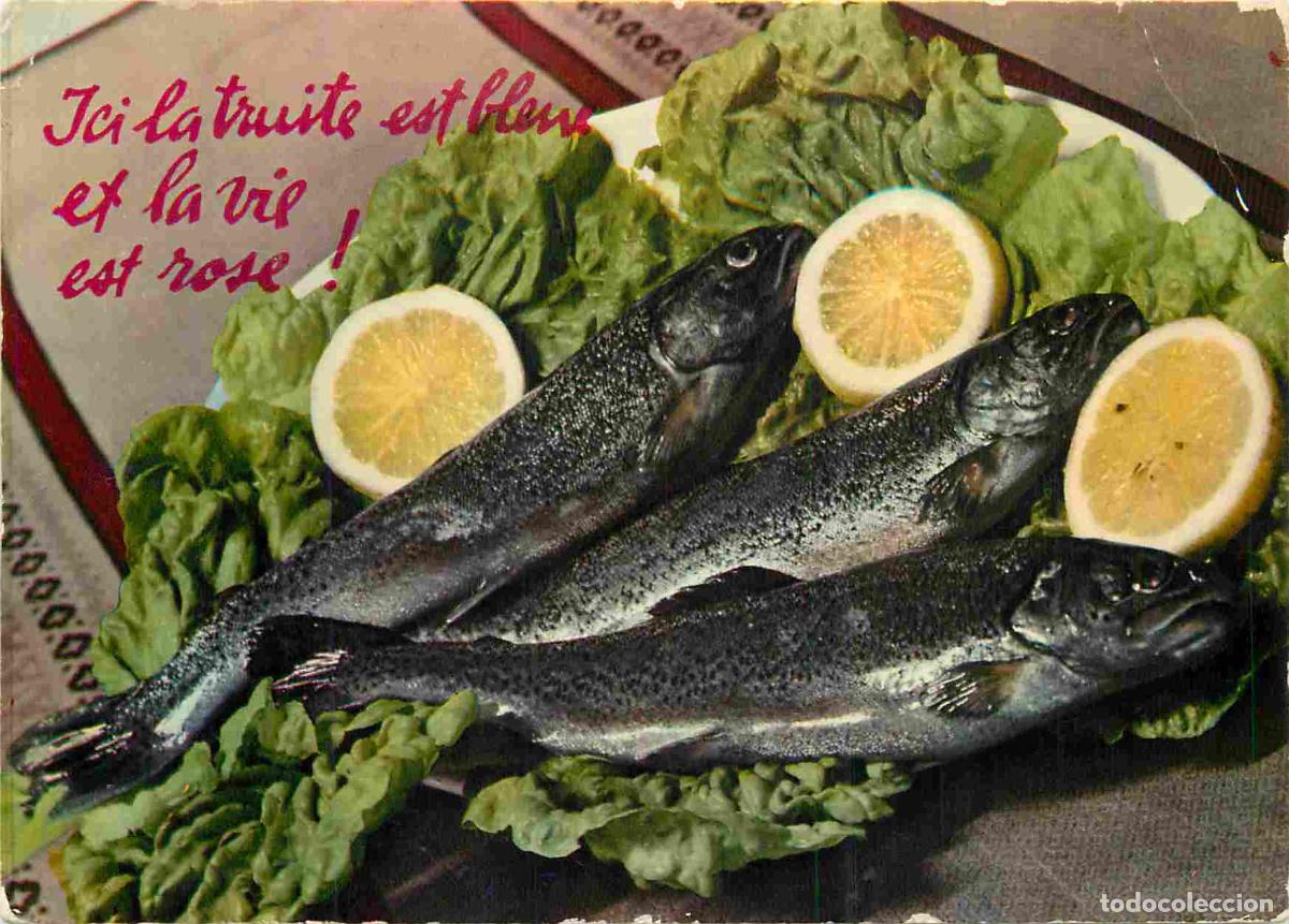 Cartes Postales: Carte Postale - Recettes de Cuisine - Ici la truite est bleue et la vie est rose - CPM - Voir Scans