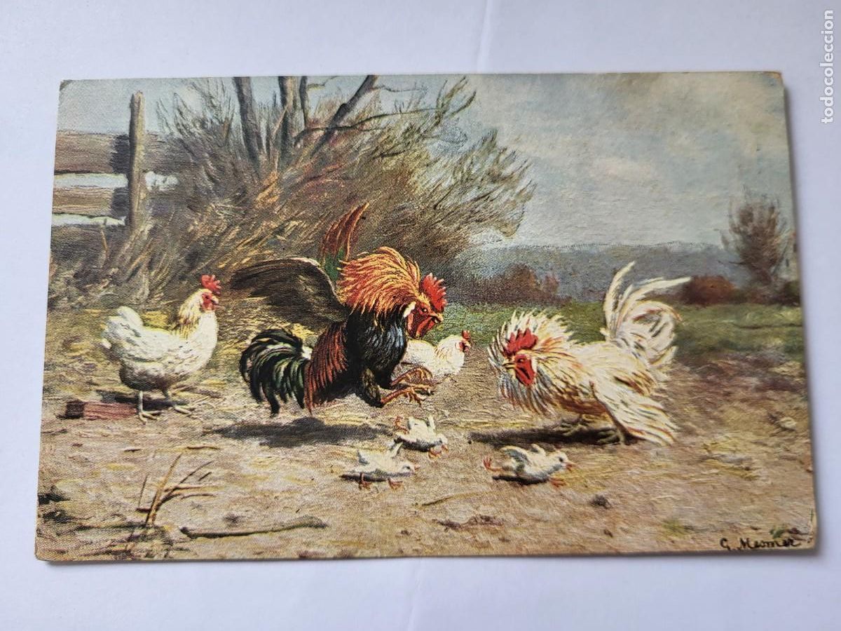 Postales: ANTIGUA POSTAL GALLO Y GALLINAS - Foto 1