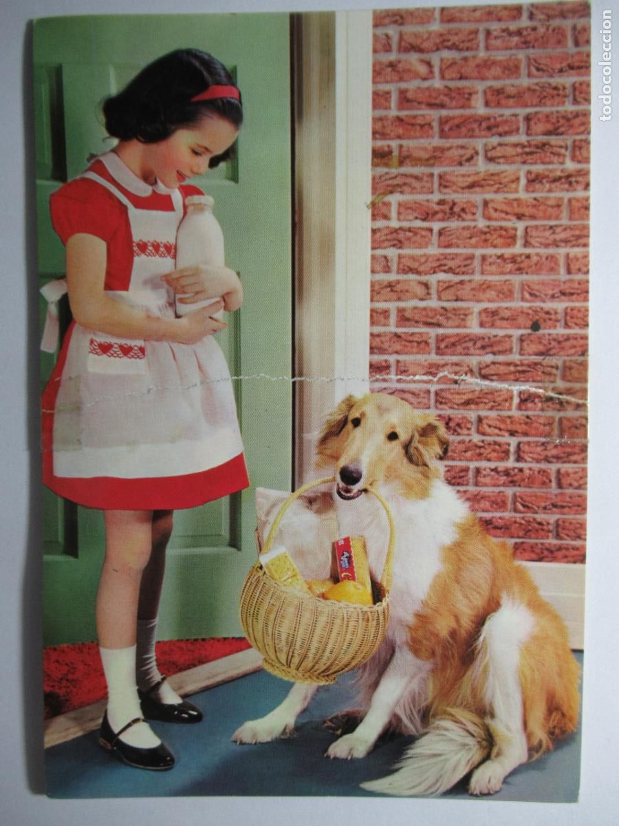 Postales: Postal ni&ntilde;a y perro - Postal reparada - Foto 1