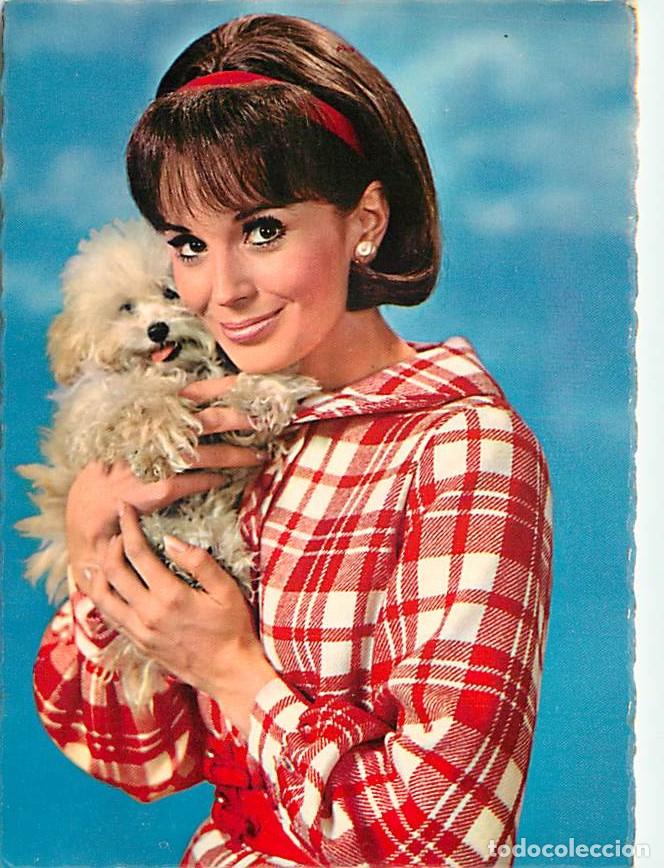 Postkarten: Carte Postale - Chiens - CPM - Voir Scans Recto-Verso - Poscard - Carta Postal - Postkarte