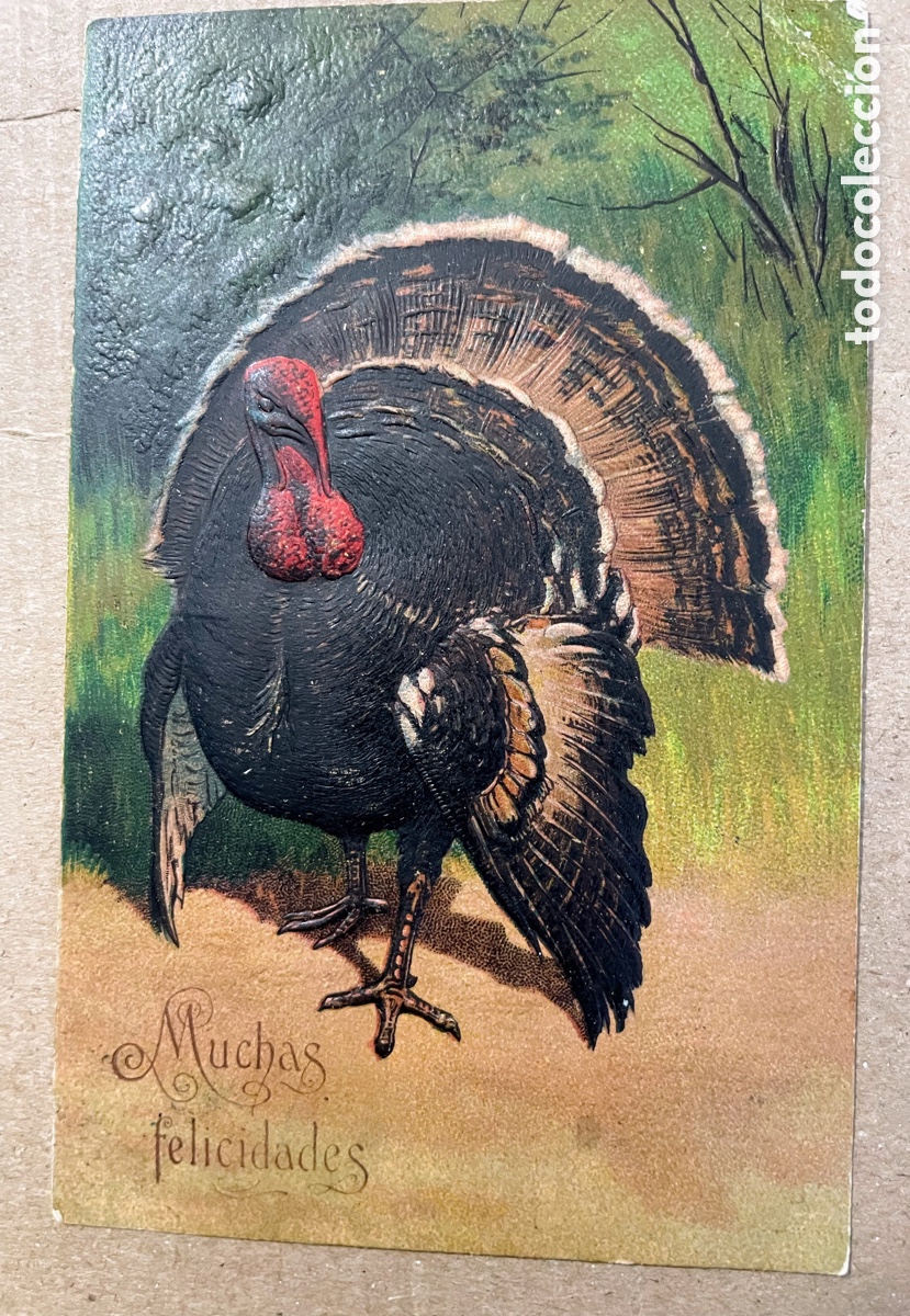 Postales: Postal pavo, primera d&eacute;cada de 1900 - Foto 1