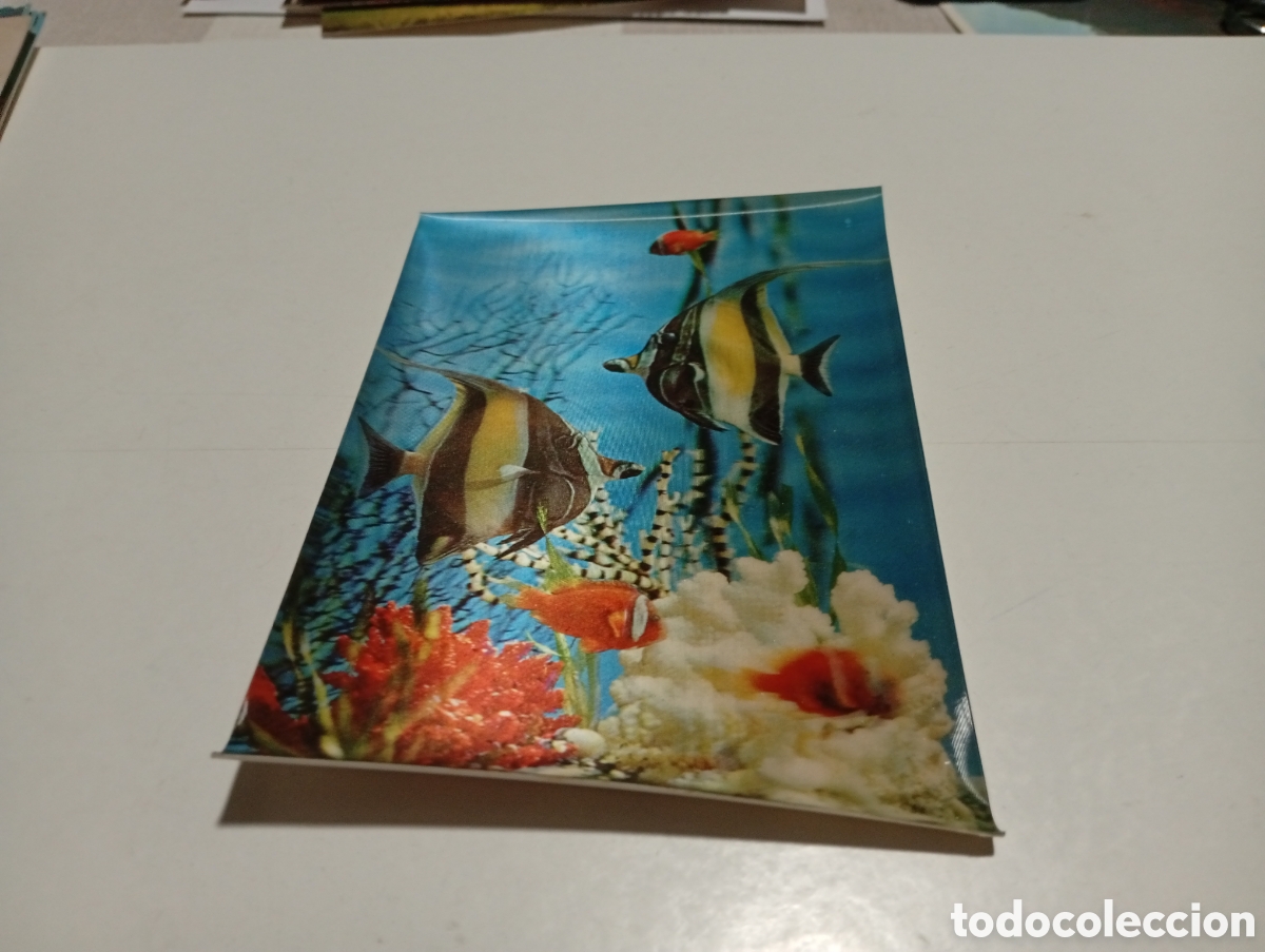 Postales: Postal tres dimensiones peces - Foto 1