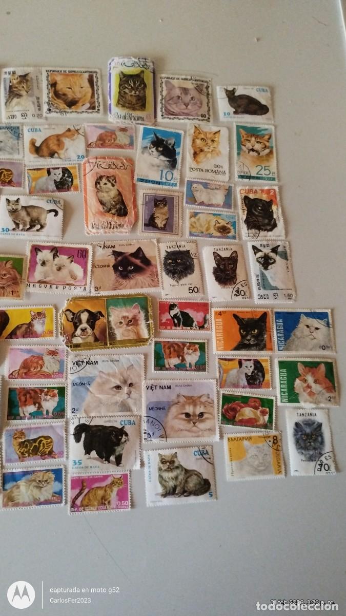 Postales: Lote completo de estampillas - Foto 1